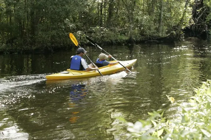 kayaking in a creek