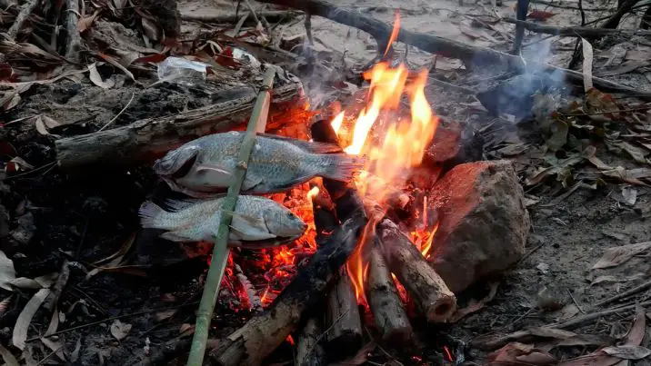 fish on a fire