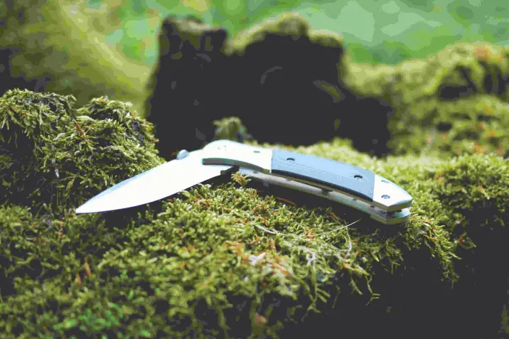 knife on moss