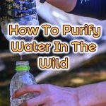 purifying water in the wild