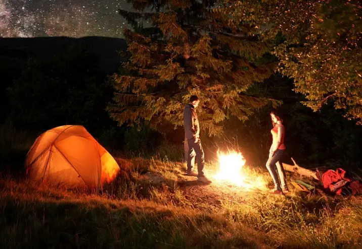 campfire under a tree