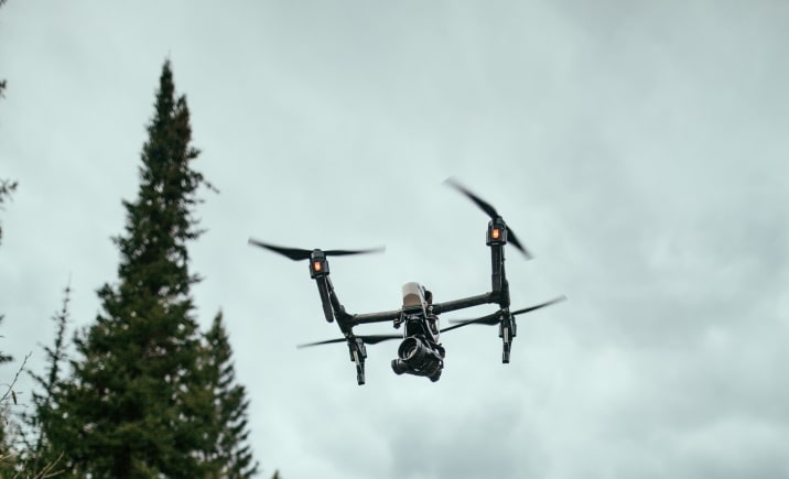 drone and tree